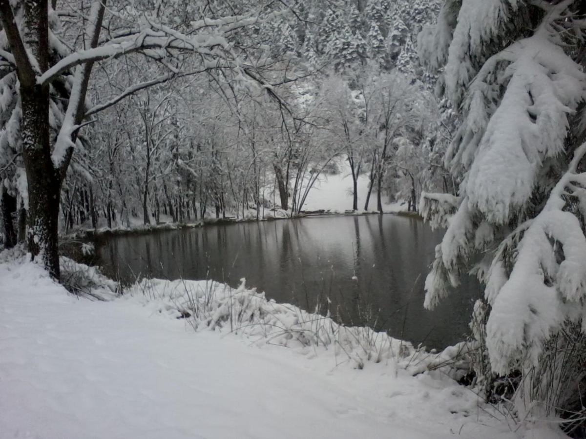 Caserio Arroyofrio Casa Rural Las Nogueras מראה חיצוני תמונה