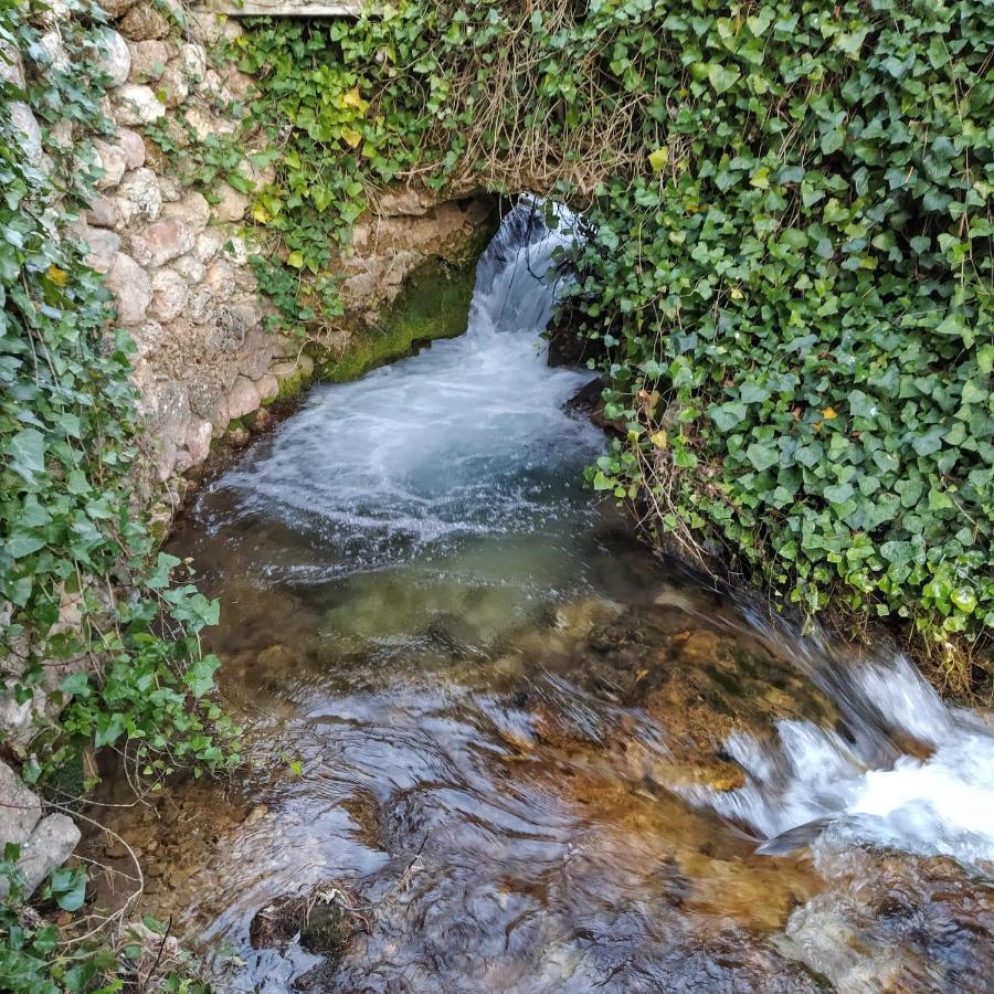 Caserio Arroyofrio Casa Rural Las Nogueras מראה חיצוני תמונה