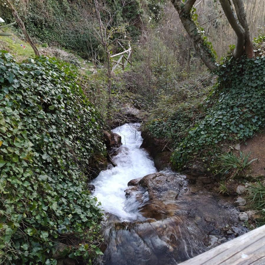 Caserio Arroyofrio Casa Rural Las Nogueras מראה חיצוני תמונה